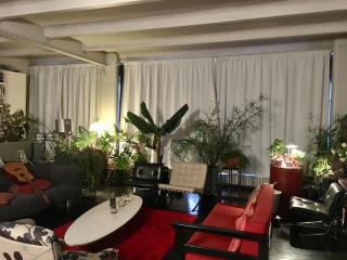 Loft d'exception, porte de Paris - 3