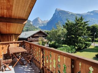 C11, 72m2, 3 bedrooms, next to the ski lift - Samoëns - 0