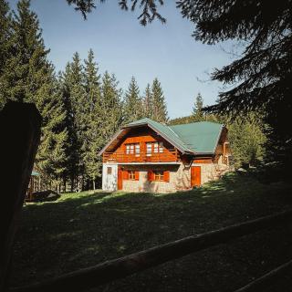 Šumska Tajna (Nacionalni Park Tara) - Konjska Reka - 9