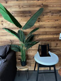 Chalet Martin Belle-Vue - 9