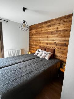 Chalet Martin Belle-Vue - 7