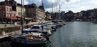 Le Petit Honfleur - Honfleur - 1