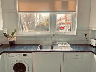 Albert Bridge spacious double room - Londra - 1