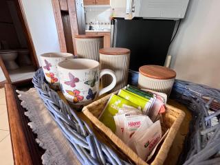 Narcisos y Amapolas en Ushuaia - 5