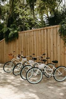 Remodeled Historic 1800s Carriage House, The Castle Garden, Colonial Modern Mansion - St. Augustine - 6
