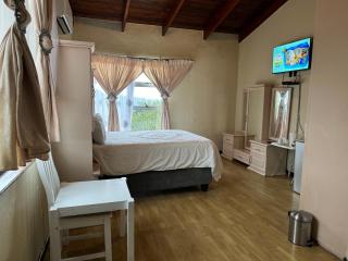 Palm Grove Lodge - Margate - 9