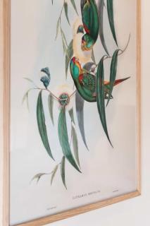 Swift's at Stieglitz - St Helens - 2