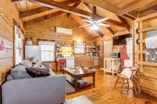 Cozy Pelsor Cabin with Mountain and Valley Views! - - 8
