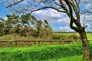 Finest Retreats - Classroom Lodge - Two - Lifton - 9
