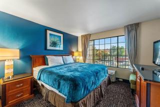 Tempe Studio Apartment 2 - Tempe - 9