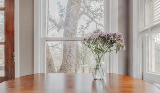 UT Moody Twin Treehouse Stay - Austin - 6