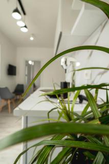 Fox Apartment - Gevgelija - 1