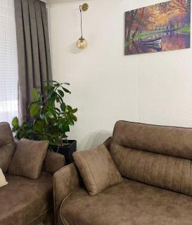 Nesi apartmenti - 8