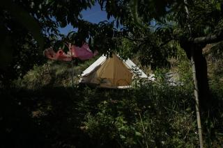 Rifugio tra gli alberi - Atri - 9
