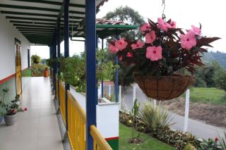 Finca El Ovito - Santa Rosa de Cabal - 9