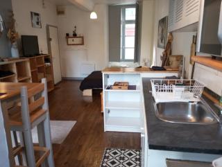 STUDIO RDC au pied du château et balcon sur la vilaine - Vitré - 5