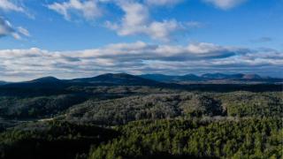 Heavenly Hideaway - Mineral Bluff - 8