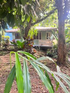Casa Rio - 9
