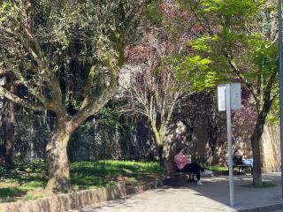 Apartamento Santiago de Compostela Centro - Santiago di Compostela - 1