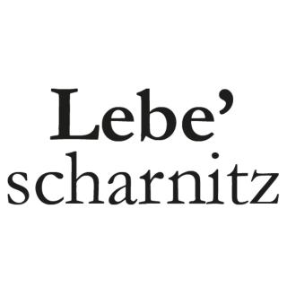 Lebe' scharnitz - Scharnitz - 9