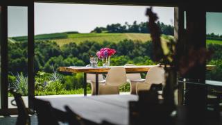 Premium Gardenguesthouse Mlinar with Pool & Sauna - 9