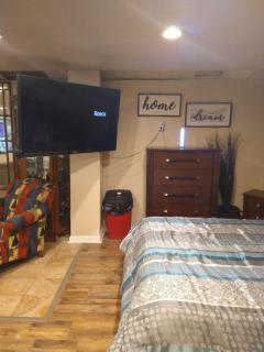 Adorable Spacious Apt with Private entrance - Dallas - 3