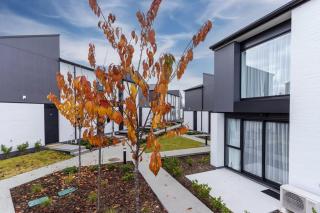 Alps and Lake Retreat Wanaka - Albert Town - 5