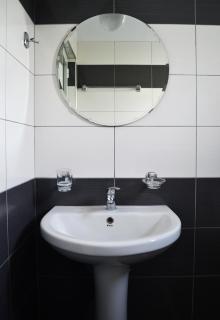 Sunflower Himara - 4