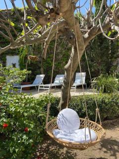 La petite palmeraie - Fréjus - 2