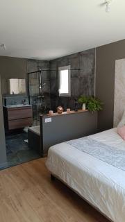 La villa Baie du Lac - Biscarrosse - 9