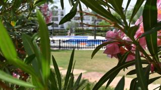 Bright improved ground floor apartment - BA202LT - Murcia - 6