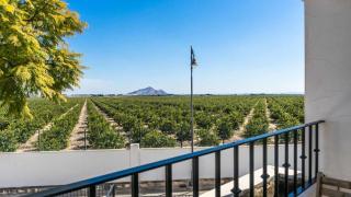 Beautiful apartment with large terrace - MO3412LT - 8