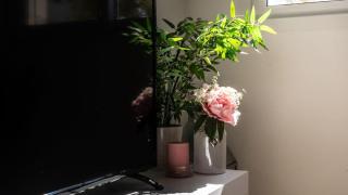 Beautiful apartment with large terrace - MO3412LT - Torre-Pacheco - 3