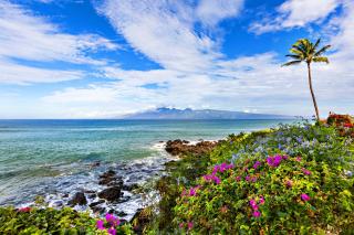 Kuleana Resort 104 - 9
