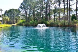 Lakefront Luxury 15000sf Pool in Amazing Location - North Myrtle Beach - 2
