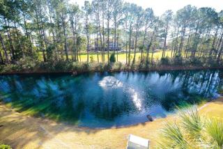 Massive Waterfront Pool Lakefront Condo Famous Barefoot Resort - North Myrtle Beach - 4