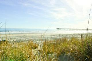 Hazels Castle Huge 2 in 1 Oceanfront House near Pier - Myrtle Beach - 3