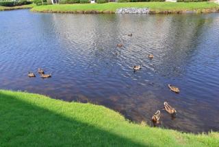 Lakefront Condo w Huge Waterfront Pool Hot Tub - North Myrtle Beach - 1