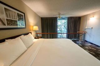 Hotel 116, A Coast Hotel Bellevue - Bellevue - 3