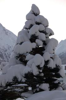 Akelei Apartments - Saas-Fee - 5