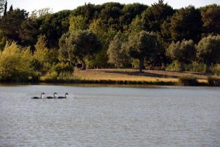Grande Maison de Charme a 5 mn du centre ville - 2