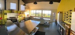 Mount Hope Estate Vineyard - 1