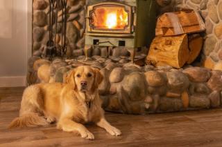 Bright and Cozy - Pet-friendly w/Hot Tub, Games, Shared Pool - Mount Hood Village - 8