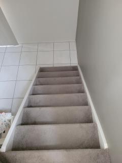 Holiday Style A downstairs room in Springwood Qld - 3