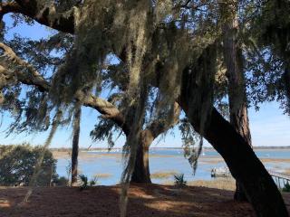 Estate lot! Waterfront! - Beaufort - 3