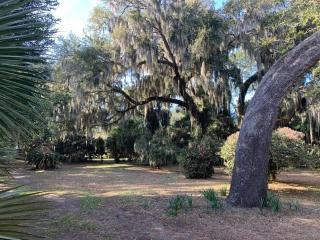 Estate lot! Waterfront! - Beaufort - 1