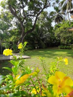 Green View - Galle - 1