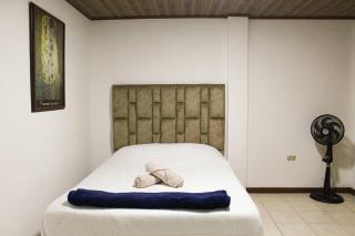 Apartaestudio Central con Vista a la Naturaleza - 4