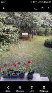Apartman Jorgovan - Zlatibor - 1