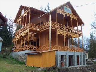 Vila Lazar - Borsec - 1